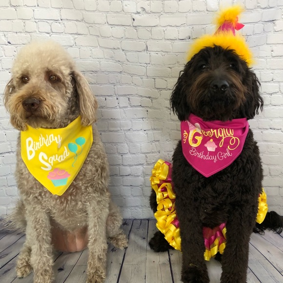 Meet your Posher, Lori - Picture 2 of 8